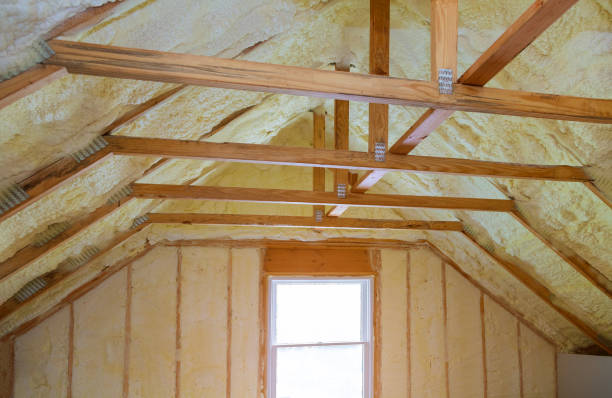 Best DIY Insulation Kits and Guidance in Eidson Road, TX