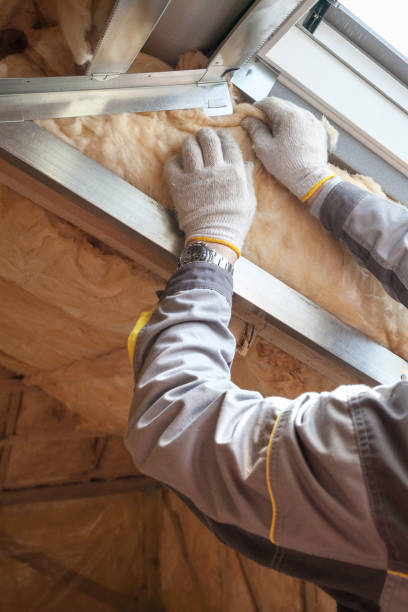 Best Insulation for Specific Applications in Eidson Road, TX