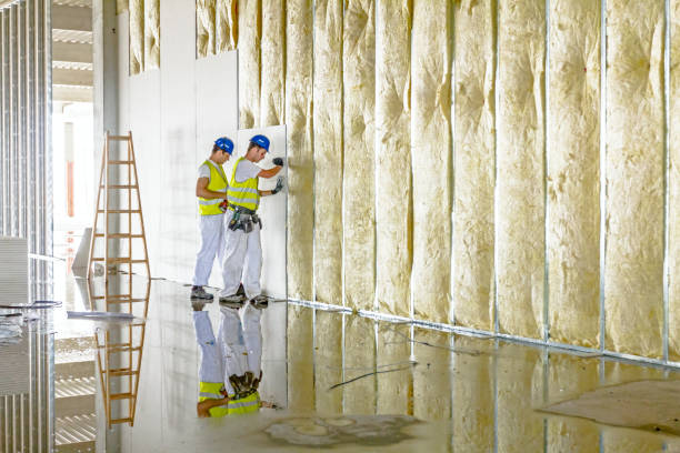 Best Eco-Friendly Insulation in Eidson Road, TX